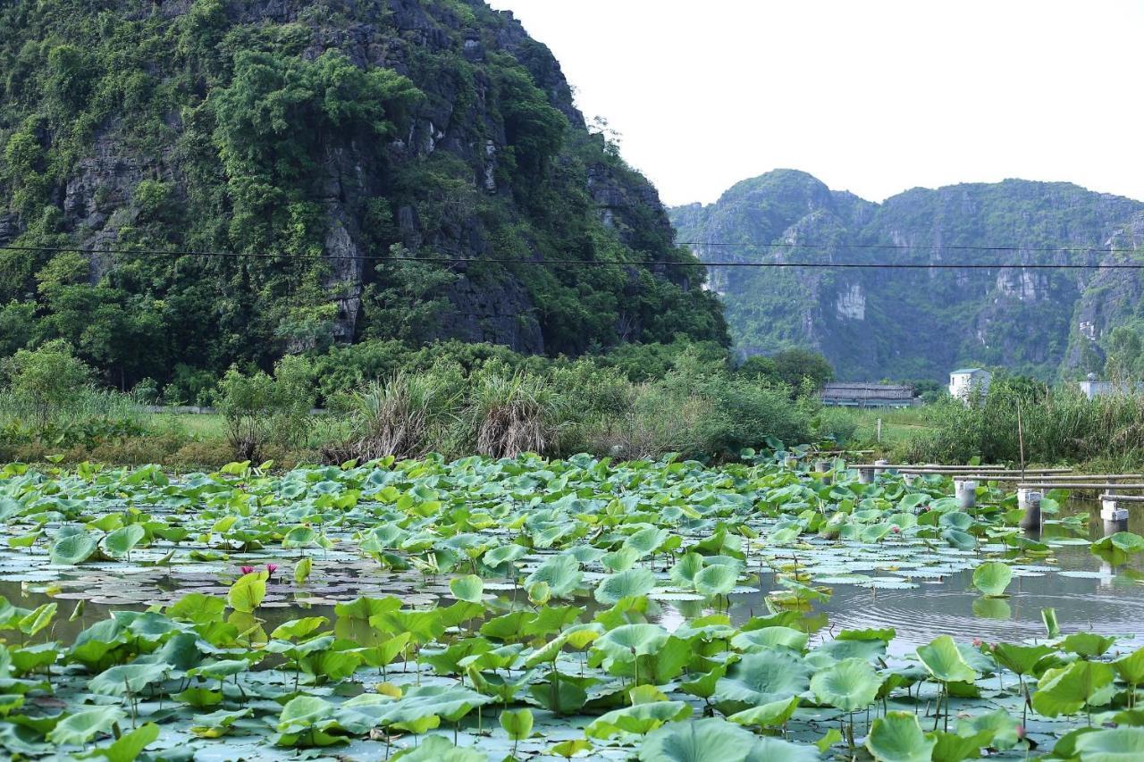 Ham Rong Homestay Ninh Binh Eksteriør billede