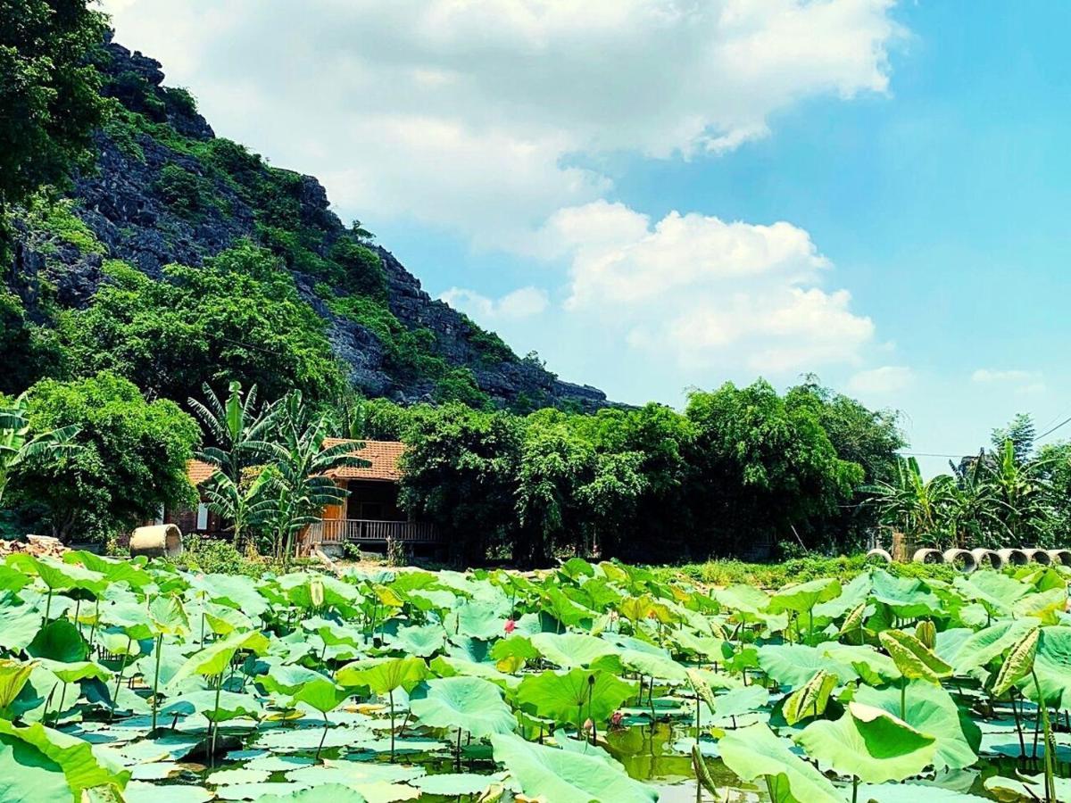 Ham Rong Homestay Ninh Binh Eksteriør billede