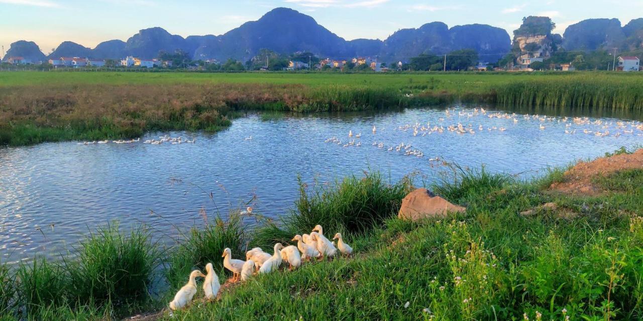 Ham Rong Homestay Ninh Binh Eksteriør billede