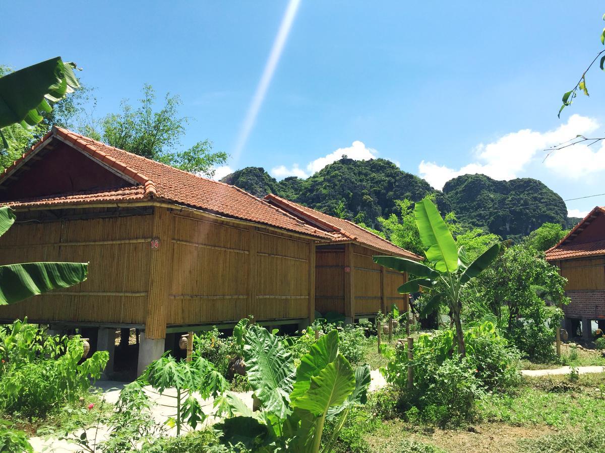 Ham Rong Homestay Ninh Binh Eksteriør billede