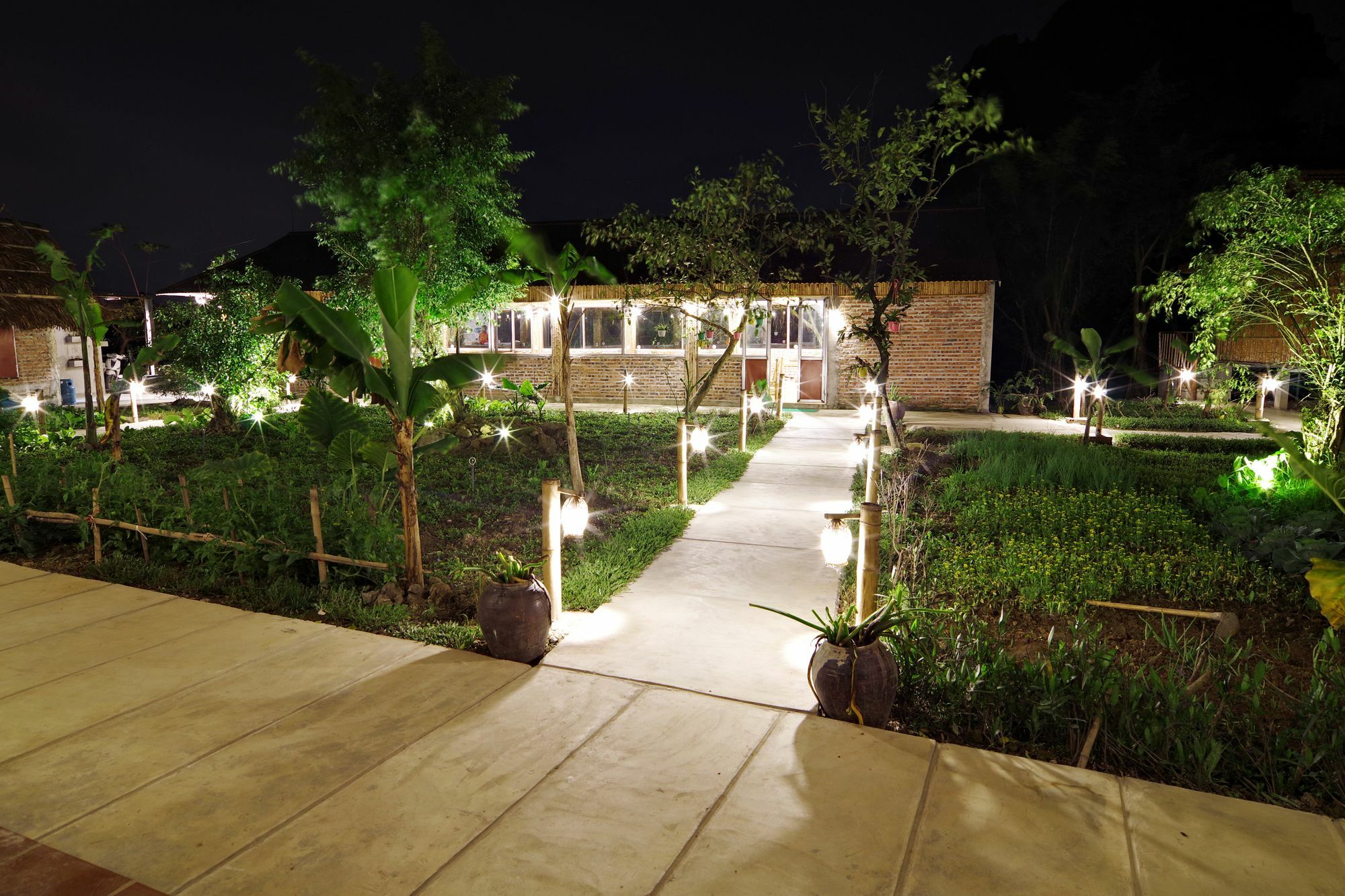 Ham Rong Homestay Ninh Binh Eksteriør billede