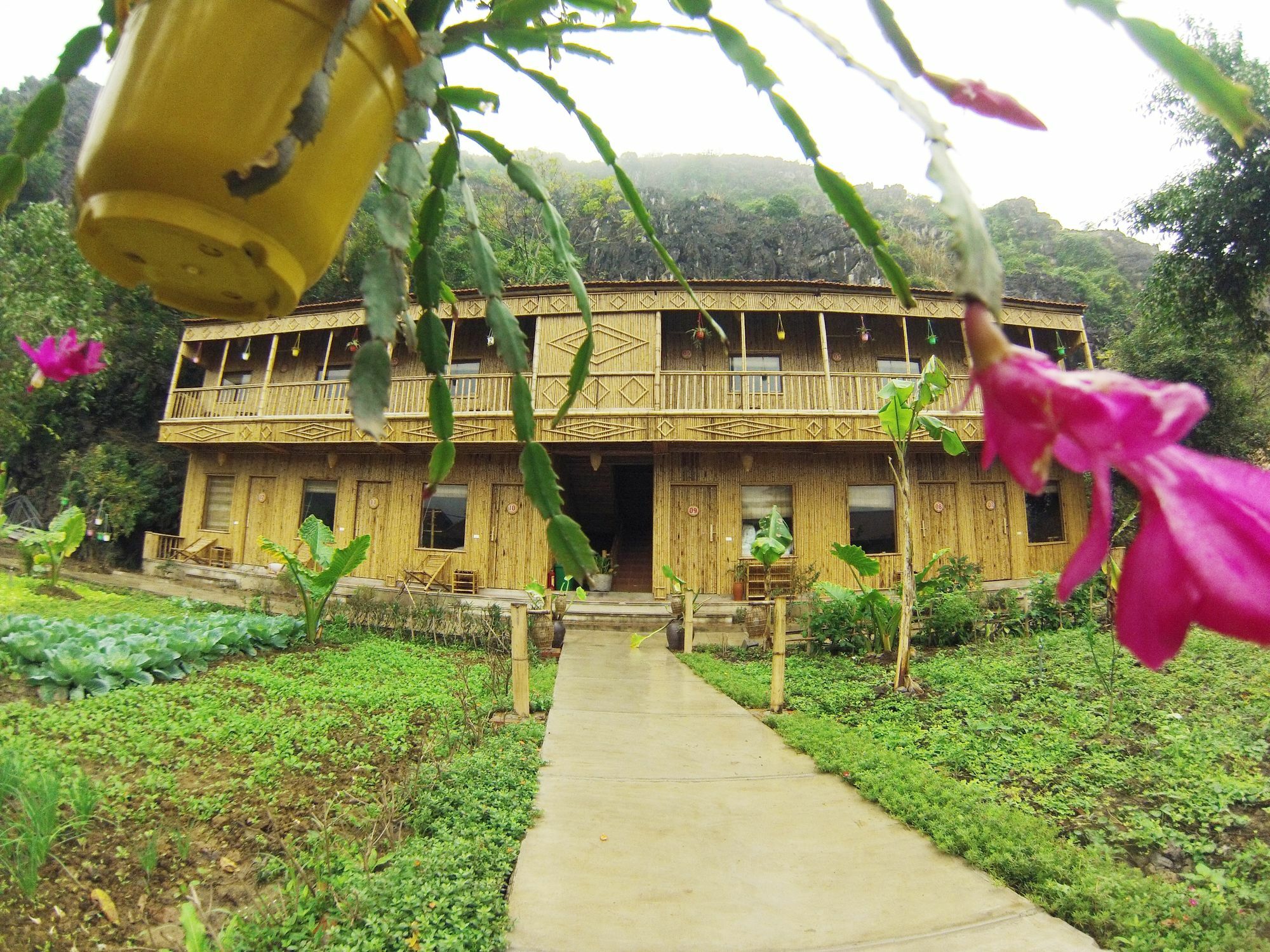 Ham Rong Homestay Ninh Binh Eksteriør billede