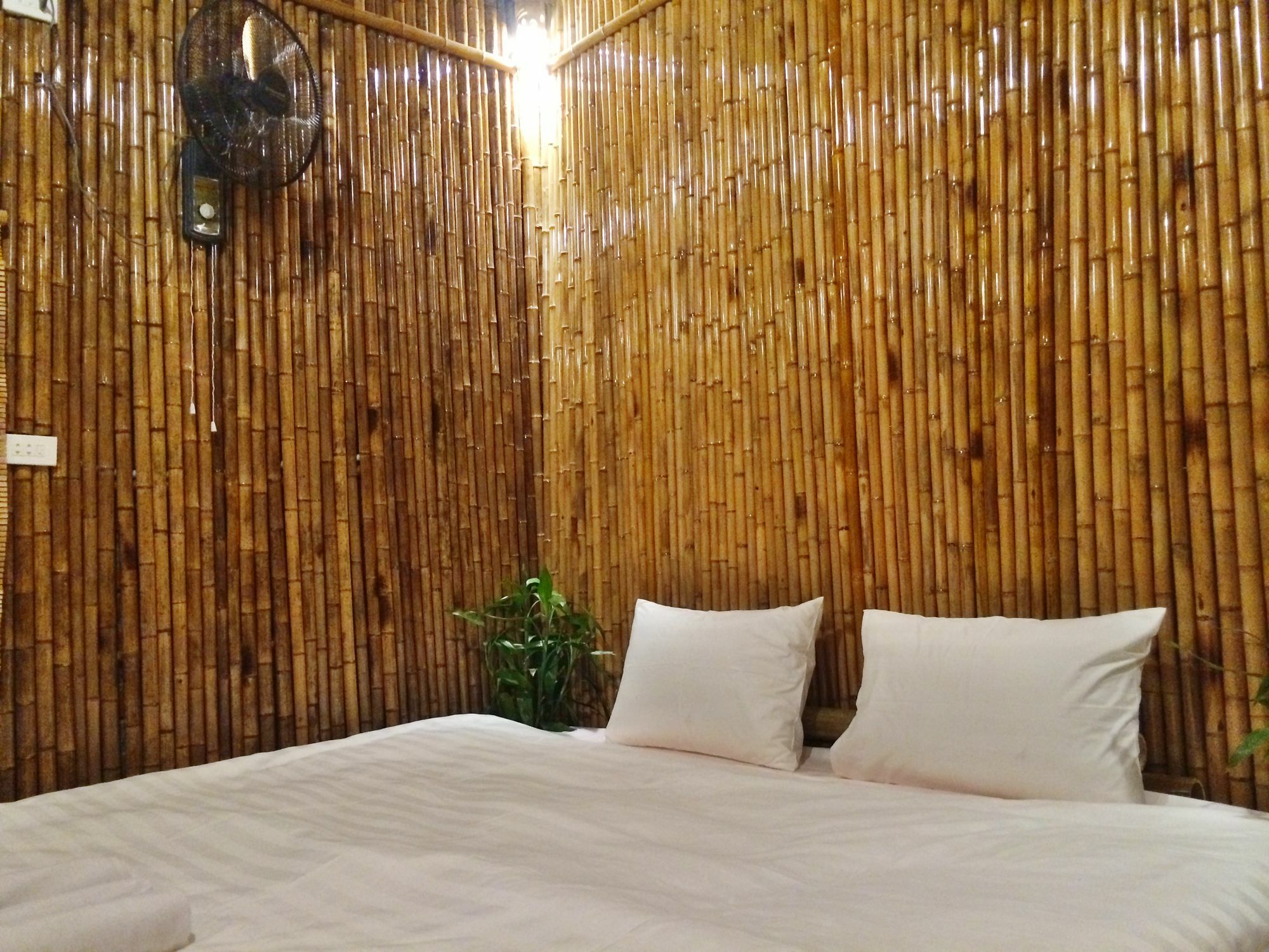 Ham Rong Homestay Ninh Binh Eksteriør billede