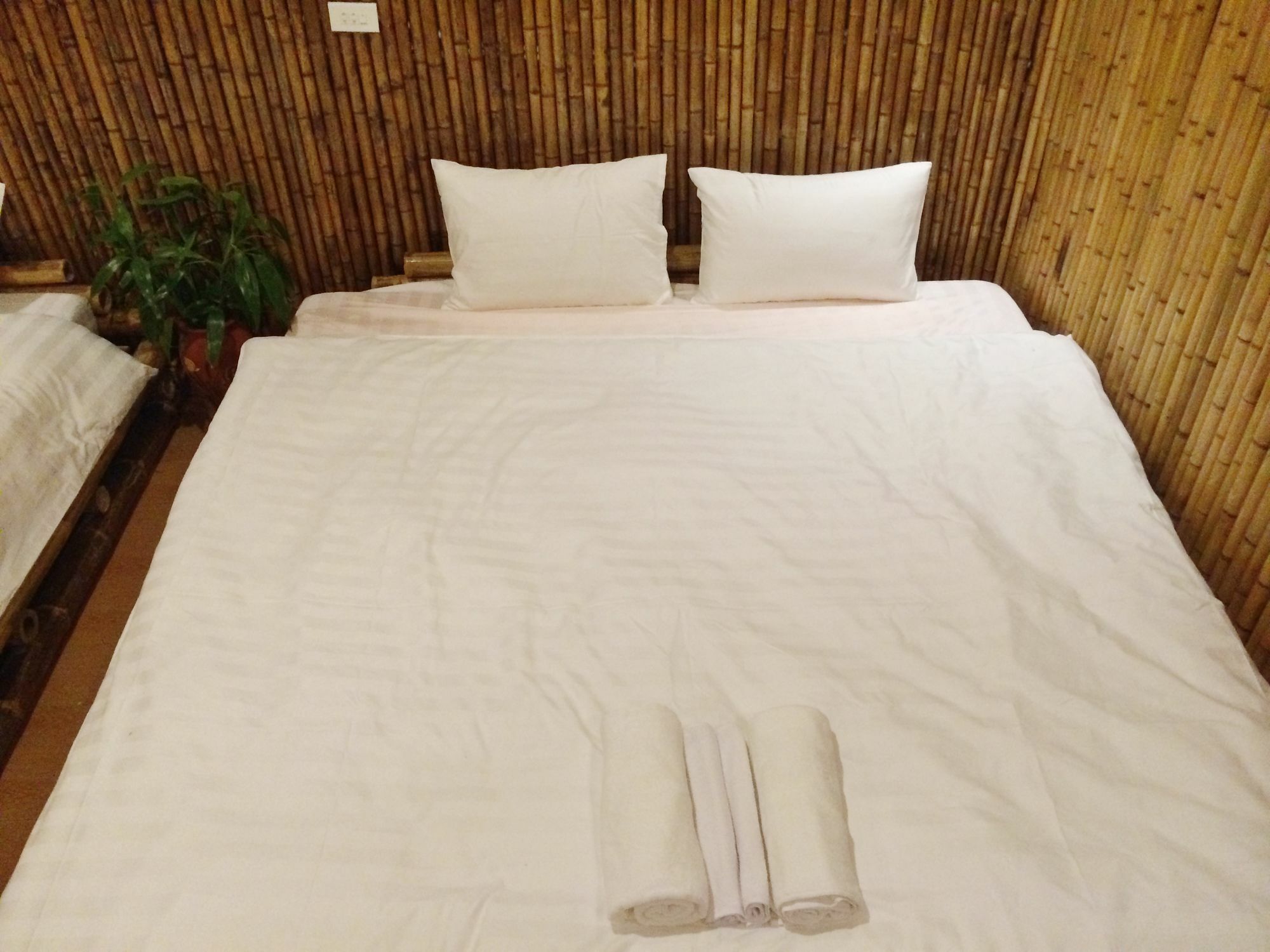 Ham Rong Homestay Ninh Binh Eksteriør billede